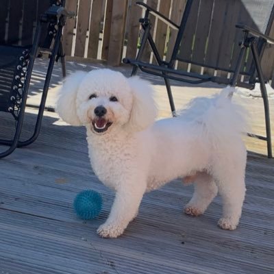 biglozzX's profile picture. 