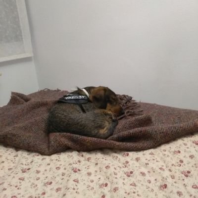 Bepaga2's profile picture. Archivera de la Diputación de Huesca