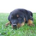 taylor walsh - @taylorwalsh22 - Twitter