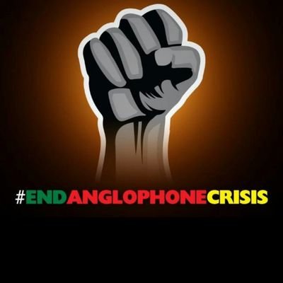 CabrellaN's profile picture. girl power, ingénieur informaticienne en devenir