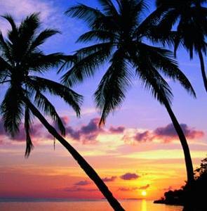 TwinkleMittens's profile picture. She likes to laugh and think and read and learn. If she can do that under an umbrella at the beach, so much the better. 
The earth is her beautiful home.