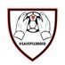 The Save Welsh Football Alliance (@savepeldroed) Twitter profile photo The Save Welsh Football Alliance (@savepeldroed) Twitter profile photo