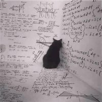 MajAy (@man0maya) 's Twitter Profile
