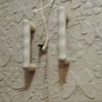 GuloGul14292637's profile picture. is oc