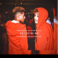 voicetwins (@voicetwins) 's Twitter Profile