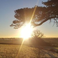 Rob ⭐⭐️ (@lordbadshot) 's Twitter Profile Photo