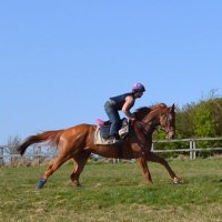 Carol Double (@caroldouble4) 's Twitter Profile