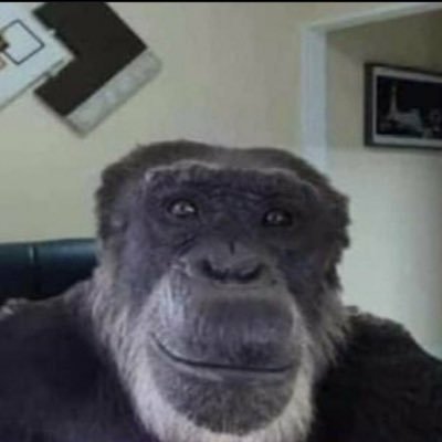jacobthamberg's profile picture. 