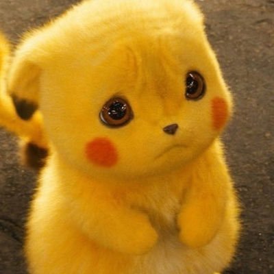 sevvalizmirliii's profile picture. Aaal’16 Tobb etü