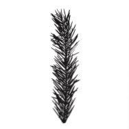 Restaurant Pine (@restaurant_pine) 's Twitter Profile