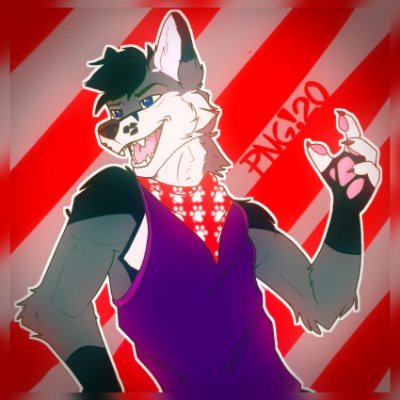 🐾I'm a Gray Fox, Mexico 🇲🇽, speak 🇪🇸 and 🇺🇲, College student, Future Business Manager | ❤Bisexual💙 | level 20🐾