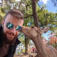Dave Kelly (@gaijindavek) 's Twitter Profile