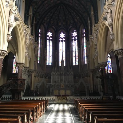 rhodadullea's profile picture. 