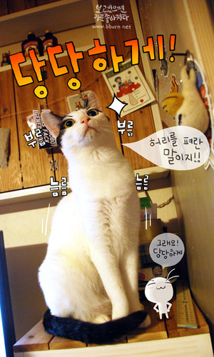 지금은 우울