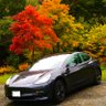 teslalover8888's profile picture. Maker, grower, carpenter, solar powered Tesla lover, driving electric since ‘03- Solectria