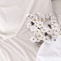 فَإِنِّي قَرِيبٌ🤍||🌱 (@tyg2108) 's Twitter Profile