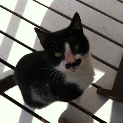 wish_nic's profile picture. 