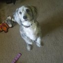 Mark Eaves - @restartsat55 - Twitter