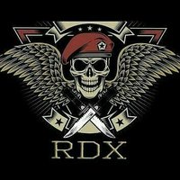 हिन्दू राष्ट्र समिति(@RDX_cod) 's Twitter Profile Photo