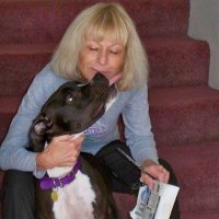 Rhonda Kjargaard (@casibari77) 's Twitter Profile Photo