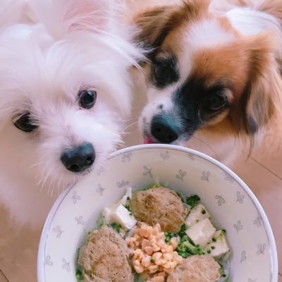 Yuly Love Viva 犬ごはん On Twitter お昼ごはん 朝食無し ブランド鶏のレバをローストしたら良い匂い 擦った長芋 茹で卵 茹でオクラちょこっと 冷たい出汁たっぷり 鎌倉の小鰯の唐揚げも1尾ずつお裾分けしました 手作り犬ごはん ペット食育 ペット