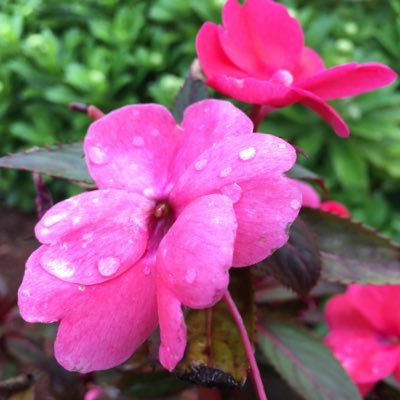 tweepy1231's profile picture. 