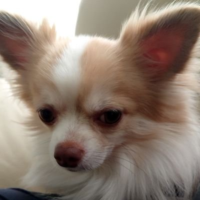 nasrullah00999's profile picture. 