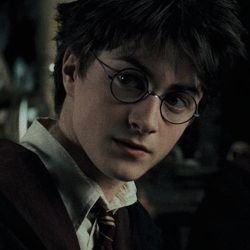 superpousition's profile picture. she/her