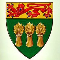SaskNSx (@sask_nsx) 's Twitter Profile