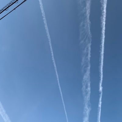 yuchinshima's profile picture. 