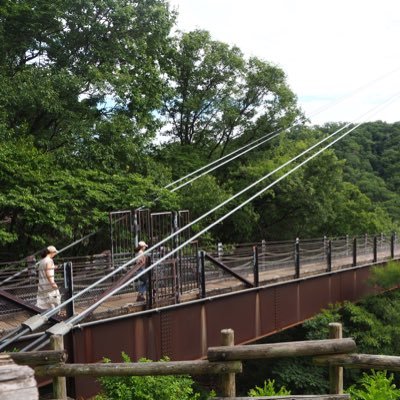 ktn__1103's profile picture. 