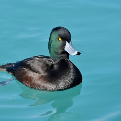 I just love hanging out with friends, enjoying NZ's hydroelectric lakes, and generally being fabulous. Vote here from 2 Nov: https://t.co/bP7QdhikuB