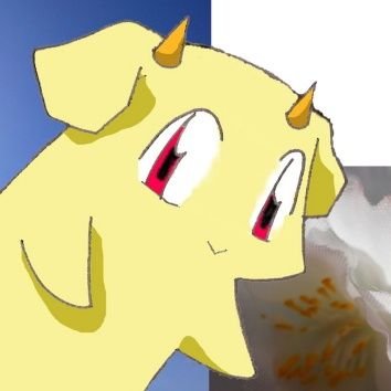 箍衣晶也さんのプロフィール画像