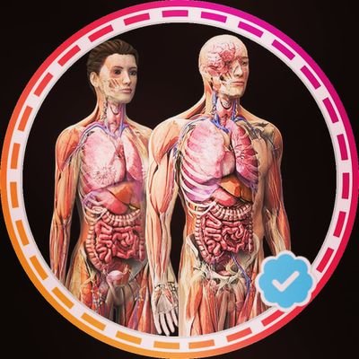 Anatomy Educator🎓.
Decoding the 'Greek' and 'Latin' of Anatomy📚.
Checkout our YouTube Channel▶️.
Top Quality Medical Education Sessions on Human Anatomy🧠.