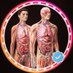Anatomy Decoded (@anatomydecoded) Twitter profile photo Anatomy Decoded (@anatomydecoded) Twitter profile photo