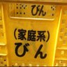 akibalife_bin's profile picture. 週一でアキバ行ってる、とっても口が悪いバツイチ変態紳士。社会人の息子が2人もいる父親。メイセイオペラ世代の地方競馬好き。千葉ロッテ/いわてグルージャ盛岡/浦和レッズのサポーター。写真うｐとかアニメ実況メイン。愛車はスズキのエブリィ（バニング乗りに復帰中）。フォロー＆リムはご自由に。RT&引用RT多め。岩手県花巻市出身。