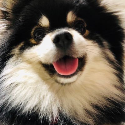 ゆきんこさんのプロフィール画像