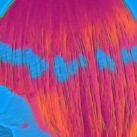 Butterfly88 (@fly_dontcare_88) 's Twitter Profile Photo