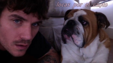 LocasPorElCanto's profile picture. Somos las mayores fans que pueda tener Dani Martín, ayudanos a ser el club de fans de dani más grande de twitter. LE QUEREMOS TAL Y COMO ES!!!!!!!!!!!!!!!!!!!!!