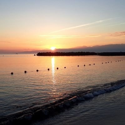 followjp1025's profile picture. ゲームと映画好き