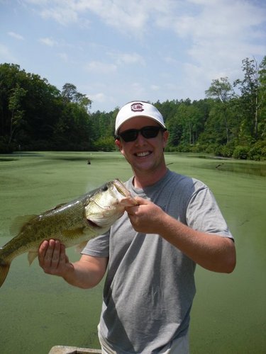 BrianCamfield's profile picture. bacon is good for me