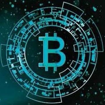 xoelaiman's profile picture. 