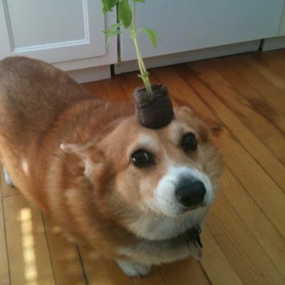 Jamer1_'s profile picture. Dark#2304 300m/Event