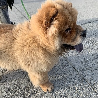 Uran28Go_uran28's profile picture. 初心者🔰🔰.    おひとりさま拗らせ中                               結婚したいな💒   旅に行きたい✈️🚃⛴