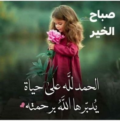 g55DqwqUv1IffsT's profile picture. ابني يامن اغلي شي بحياتي ربنا يحفظه لي😍😍