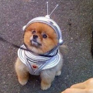 hukurozume's profile picture. Twitterって怖いな。何気ないつぶやきでじんせい終了のお知らせがきたりするんだもんな