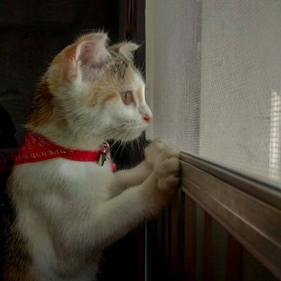 sTZW8mPCGlFQKPx's profile picture. 