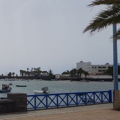 TodoONa39012334's profile picture. Autónomo defensor de mis derechos