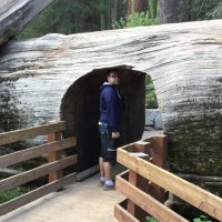 Tim Bolich (@naturallydiff1) 's Twitter Profile