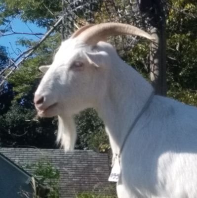 おんやさんのプロフィール画像